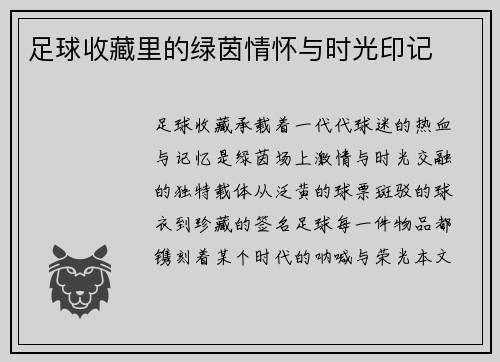 足球收藏里的绿茵情怀与时光印记